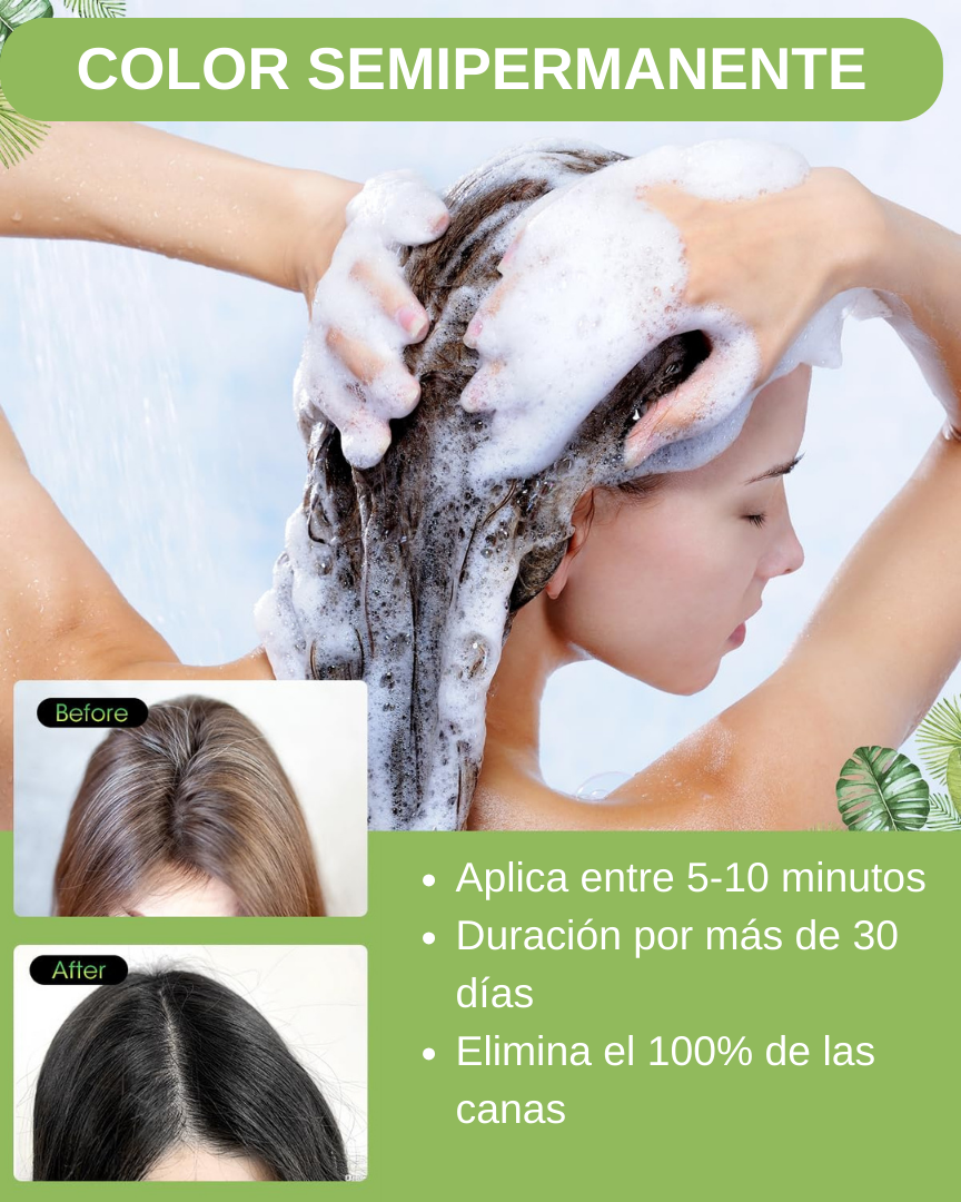 Champú de tinte para el cabello negro instantáneo, color negro semipermanente, paquetes de 5/10 (10 unidades, negro)