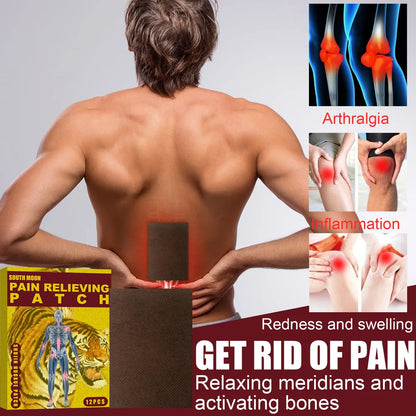 Parche Alivio Oriental – Terapia Herbal para Dolor Muscular y Articular