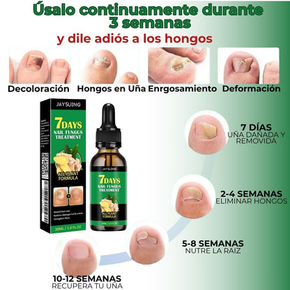 Removedor Hongos y reparador Avanzado de Uñas 7 días base jengibre